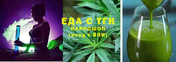 хмурый Аркадак