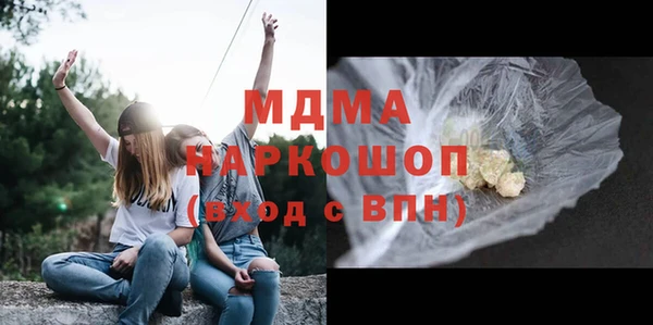хмурый Аркадак
