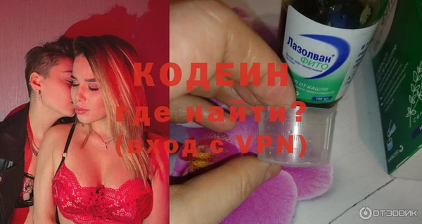 хмурый Аркадак