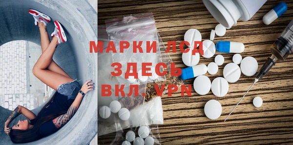 хмурый Аркадак