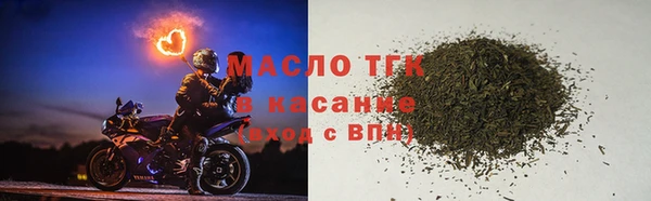 хмурый Аркадак