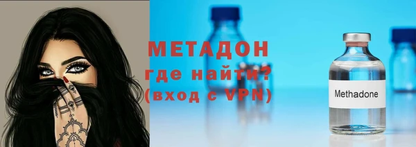хмурый Аркадак