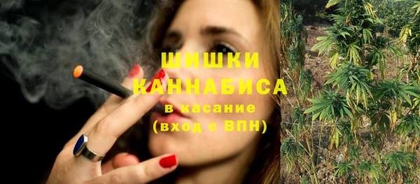 хмурый Аркадак