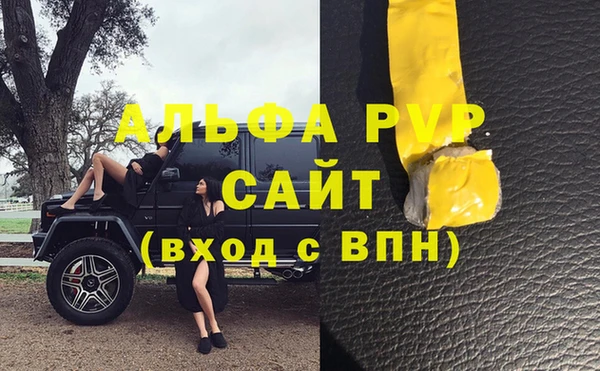 индика Богородицк