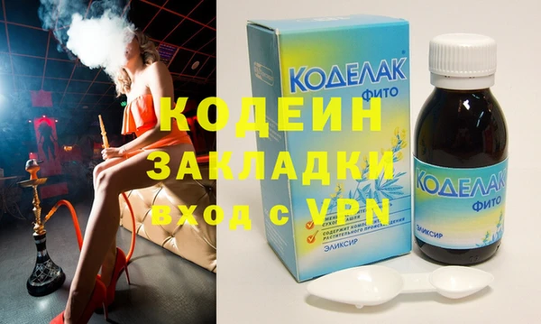 хмурый Аркадак