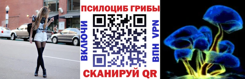 дарнет шоп  Порхов  Галлюциногенные грибы мицелий 